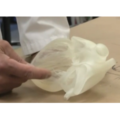 斯坦福大学研究人员用3D打印制作器官模型 